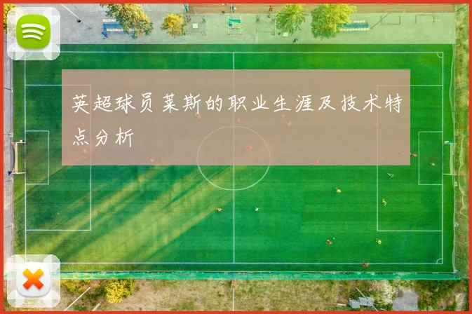 英超球员莱斯的职业生涯及技术特点分析
