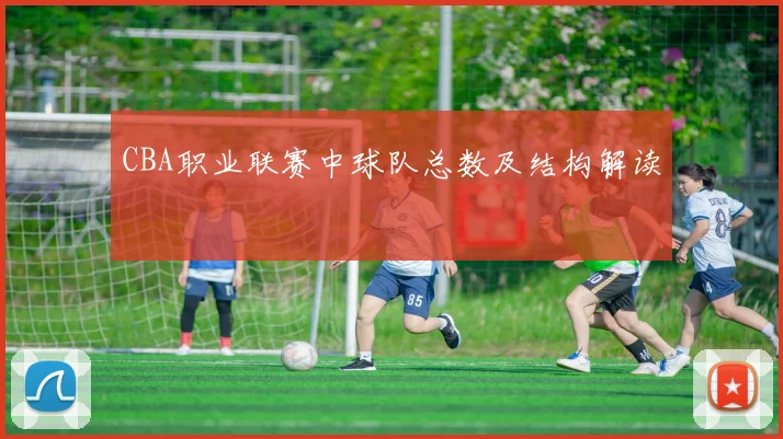 CBA职业联赛中球队总数及结构解读